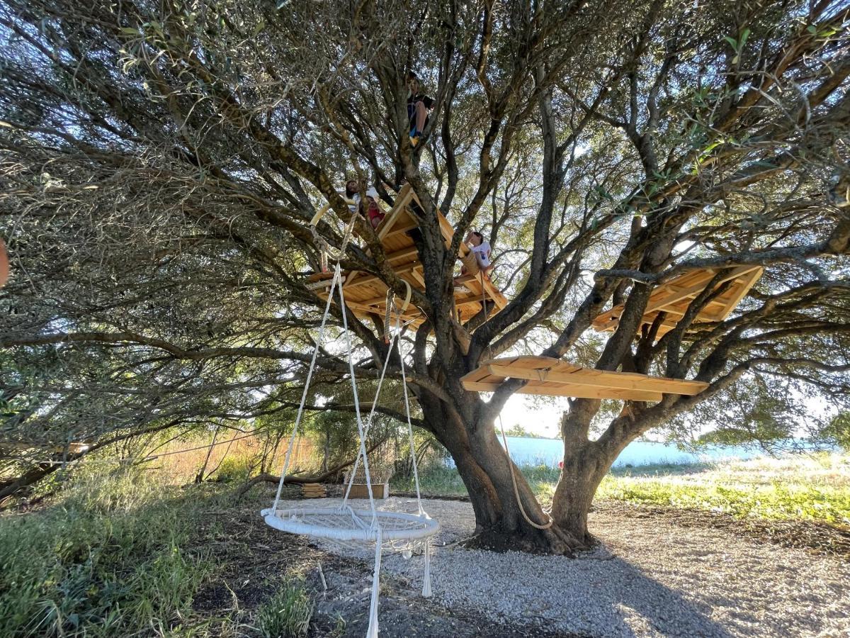 Отель Tranquilo Glamping Осанехос Экстерьер фото